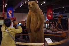 IMGP0074.JPG