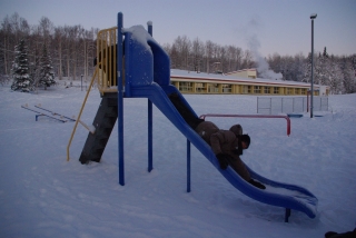 alaska_suberidai.jpg
