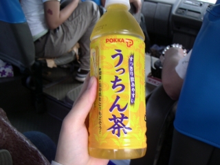okinawa_ukon.jpg